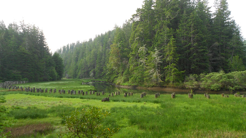 South towards Railroad Gulch