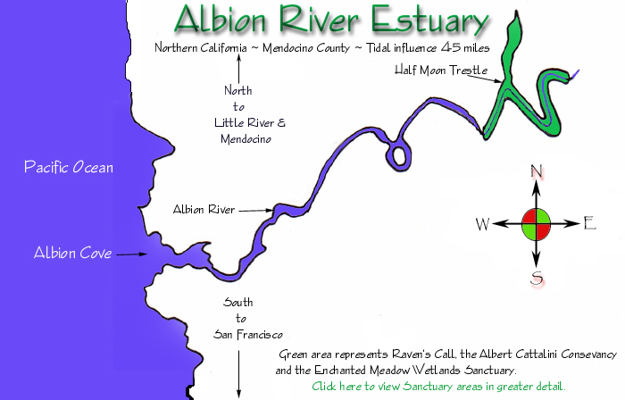 Albion Estuary